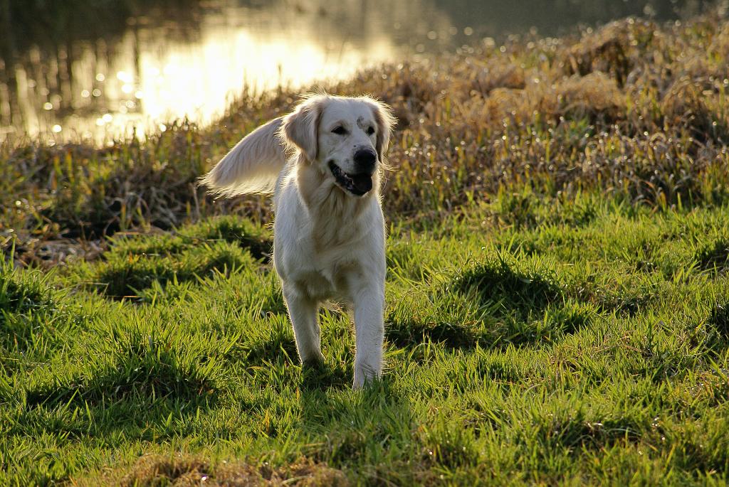 DSC00634.jpg - SONY DSC