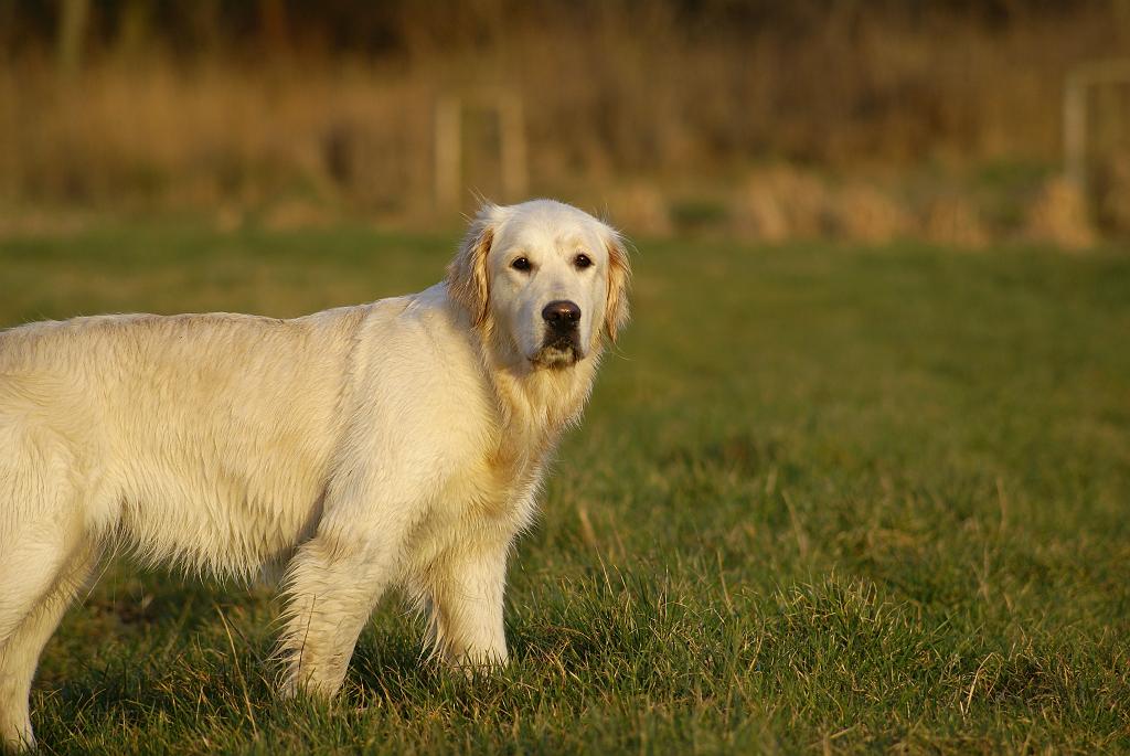 DSC00646.jpg - SONY DSC