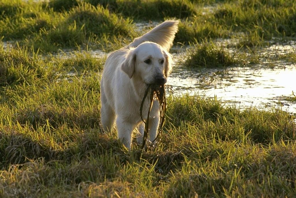 DSC00649.jpg - SONY DSC