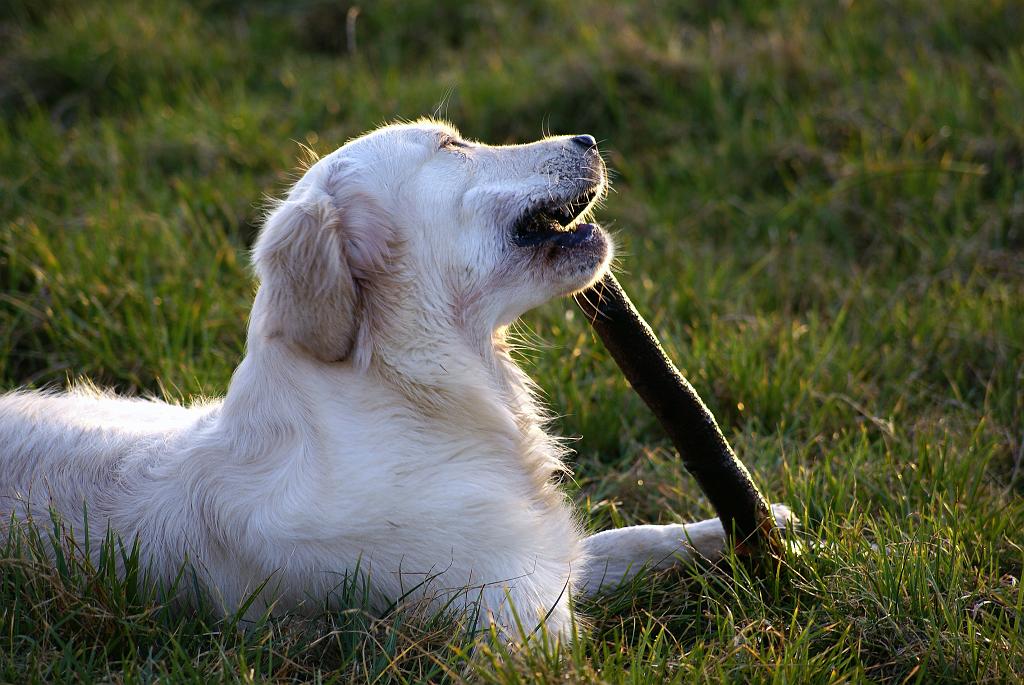 DSC00650.jpg - SONY DSC