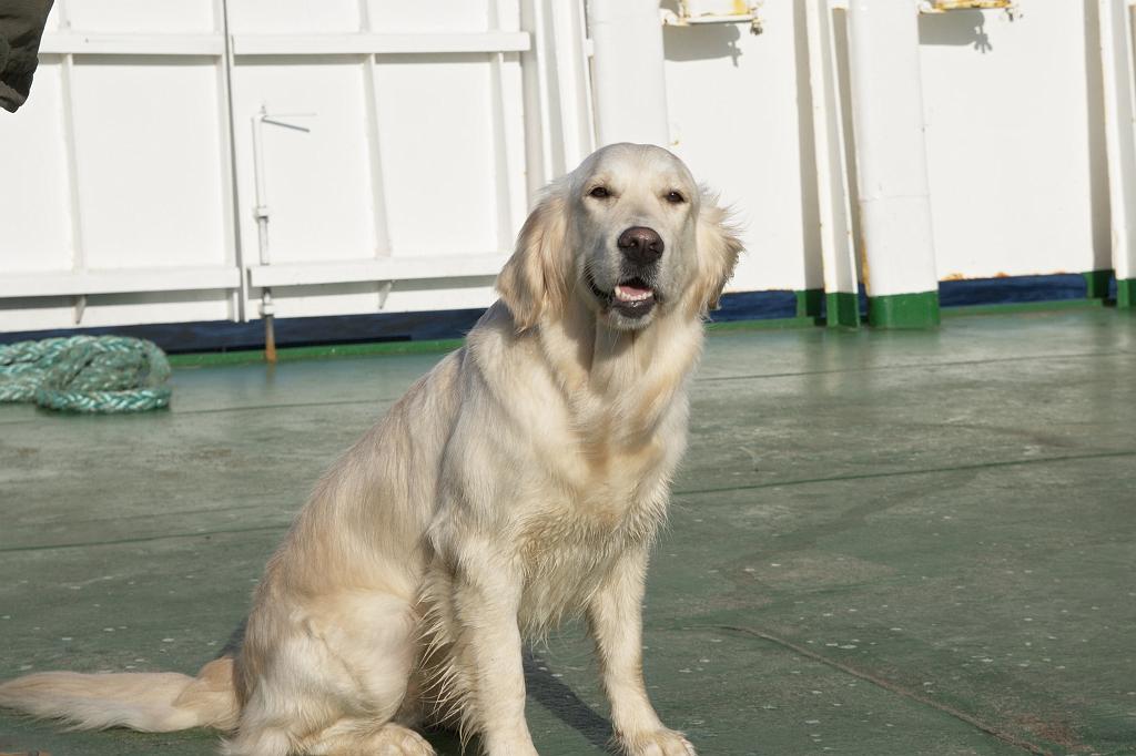 DSC00812.jpg - SONY DSC                       