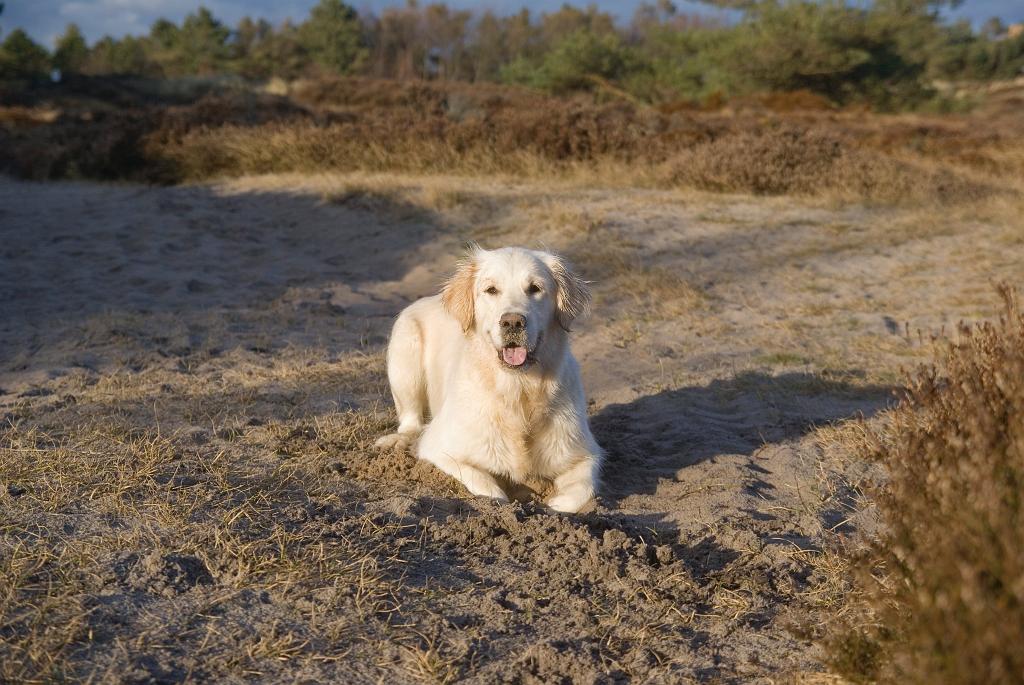 DSC00862.jpg - SONY DSC