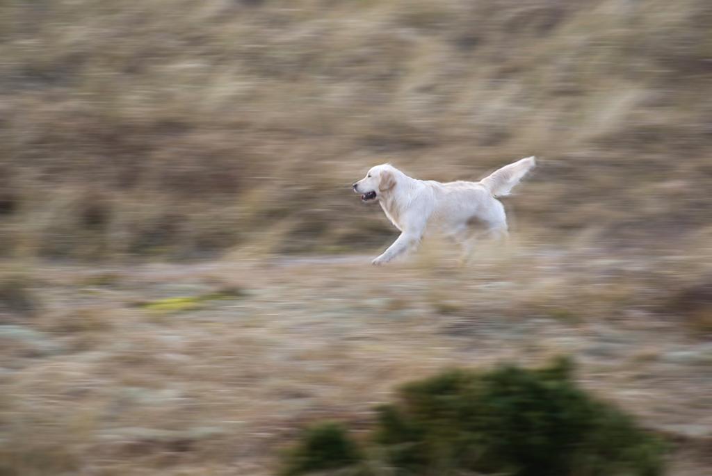 DSC00868.jpg - SONY DSC