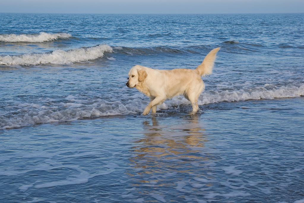 DSC00881.jpg - SONY DSC