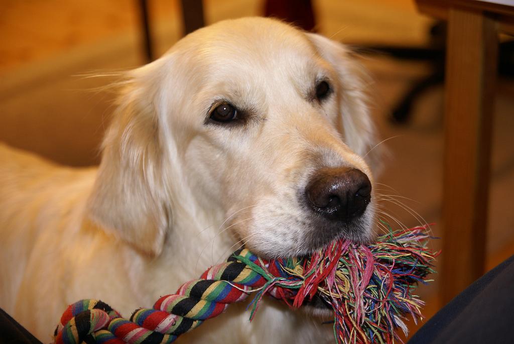 DSC00981.jpg - SONY DSC