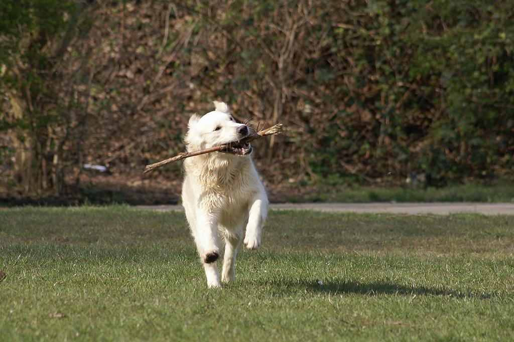 DSC01012.jpg - SONY DSC