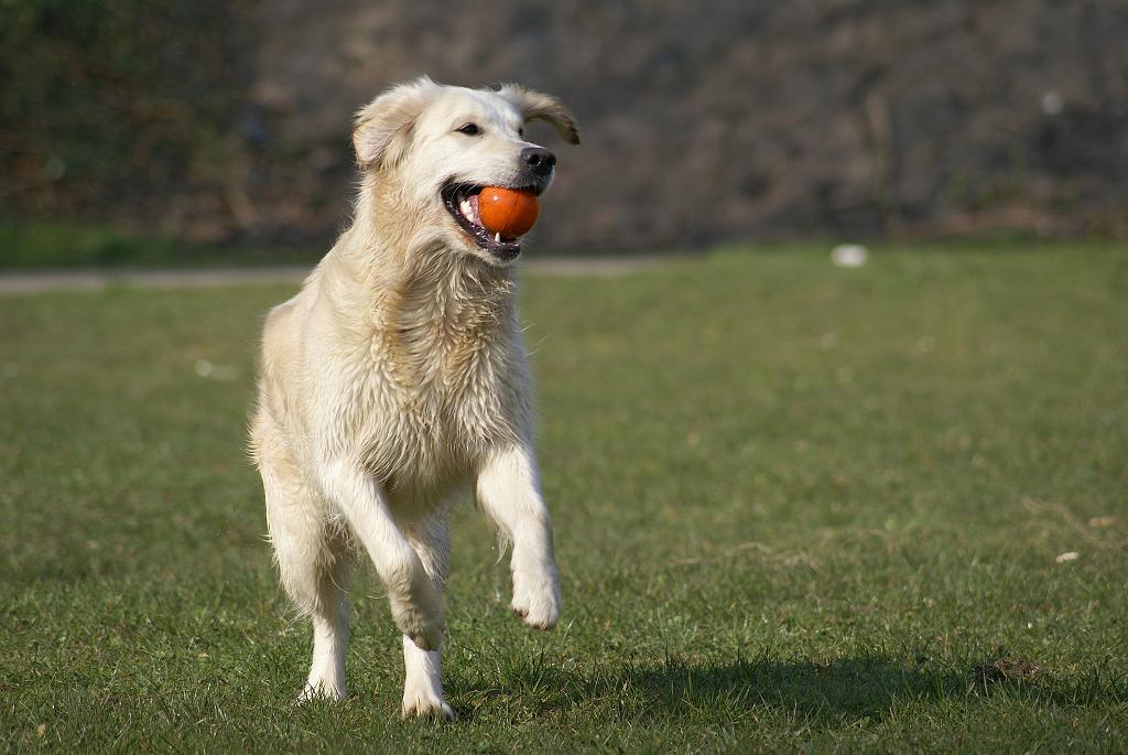 DSC01018.jpg - SONY DSC