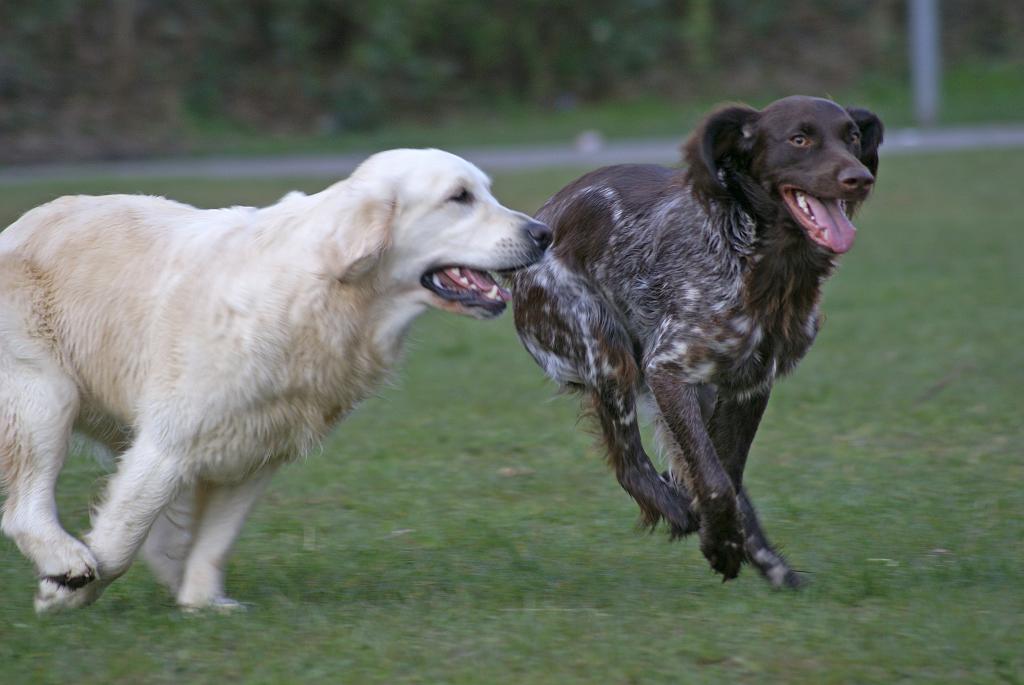 DSC01030.jpg - SONY DSC