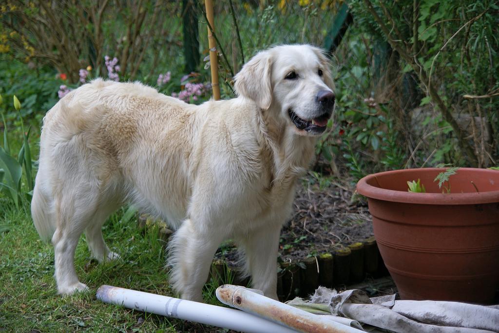 DSC01094.jpg - SONY DSC