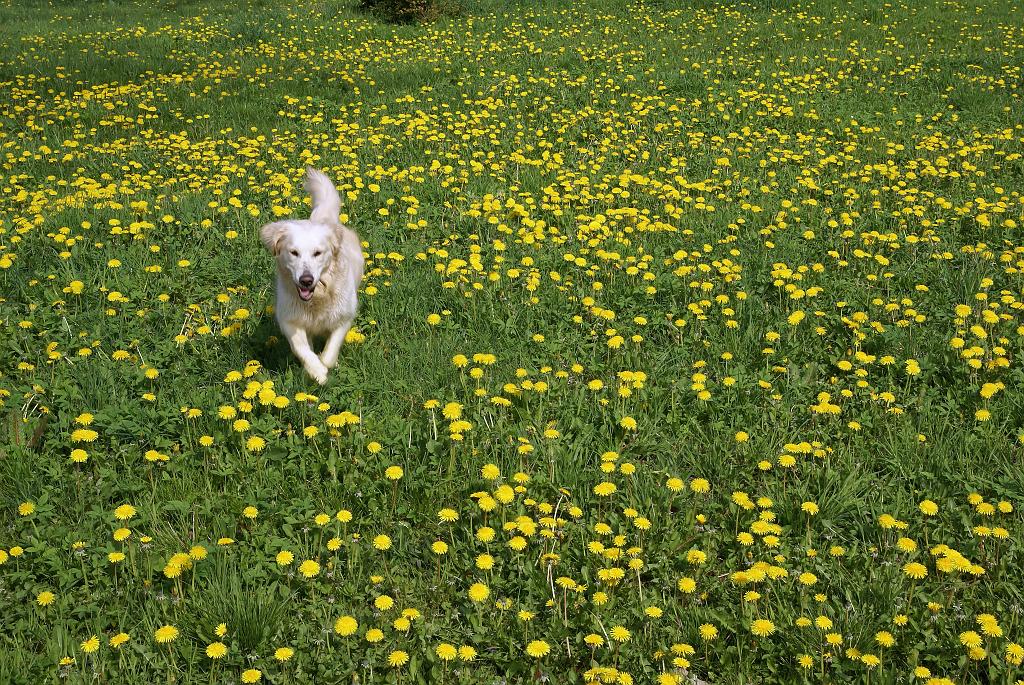 DSC01113.jpg - SONY DSC