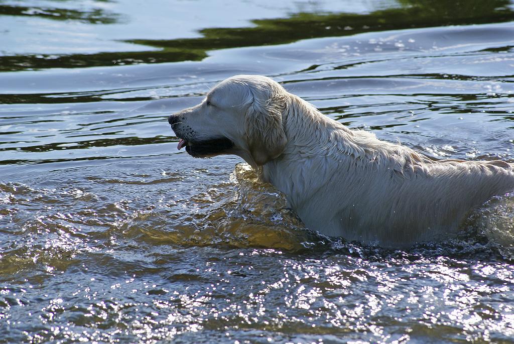 DSC01129.jpg - SONY DSC