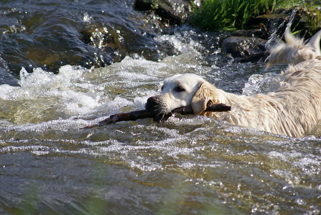 DSC01132.jpg - SONY DSC