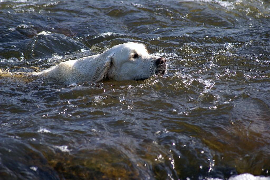 DSC01135.jpg - SONY DSC