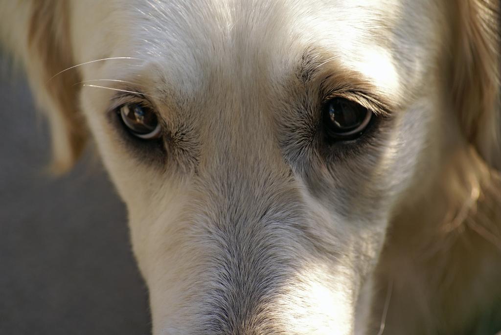 DSC01140.jpg - SONY DSC