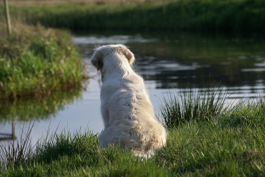 DSC01142.jpg - SONY DSC