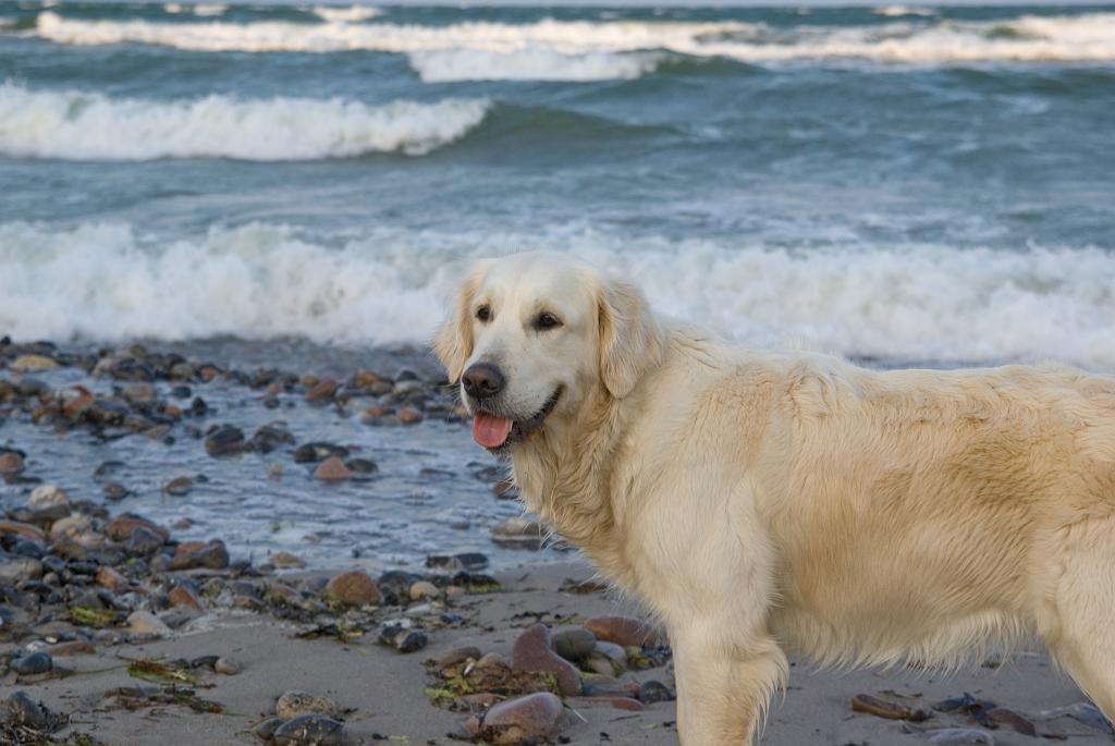 DSC01206.jpg - SONY DSC