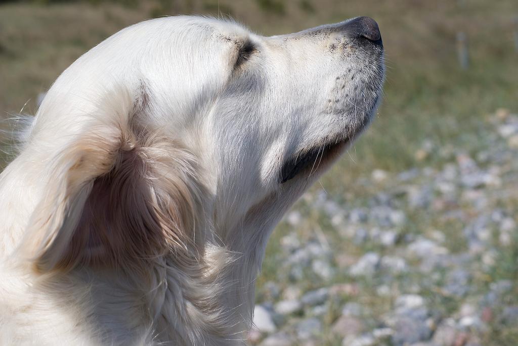 DSC01222.jpg - SONY DSC