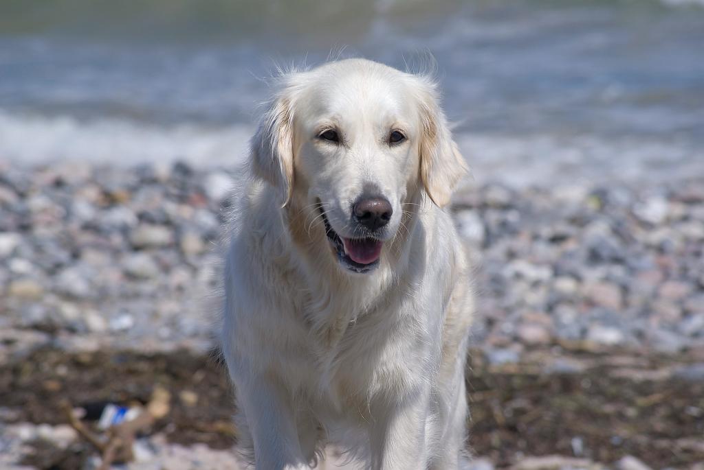 DSC01229.jpg - SONY DSC