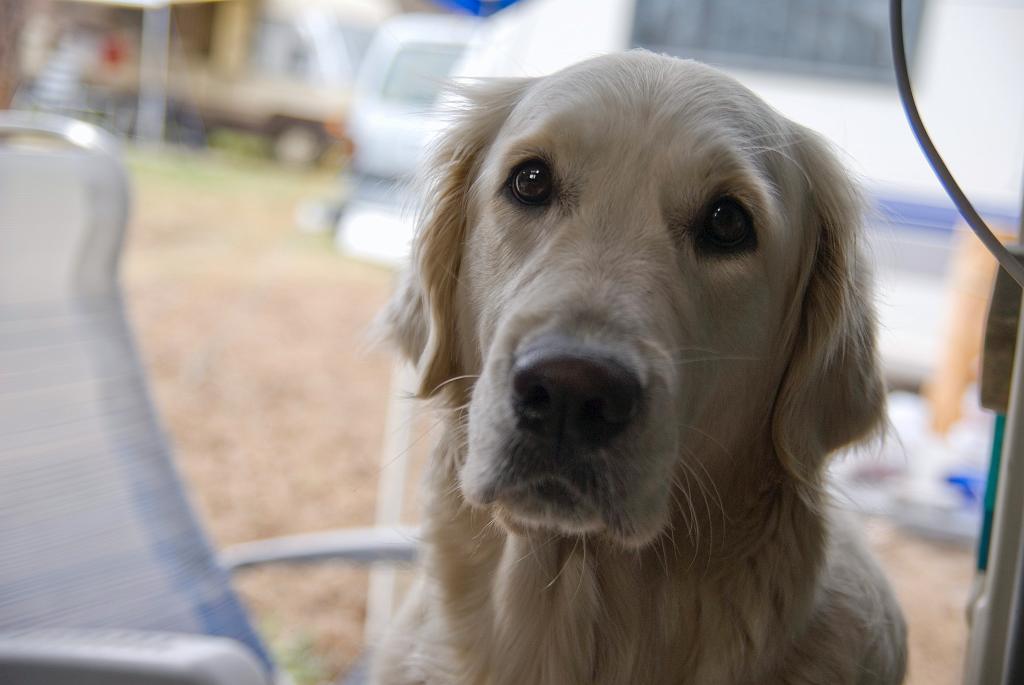 DSC01381.jpg - SONY DSC