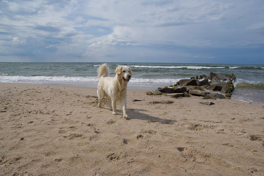 DSC01385.jpg - SONY DSC