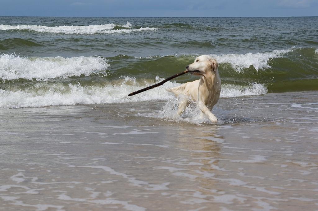 DSC01387.jpg - SONY DSC