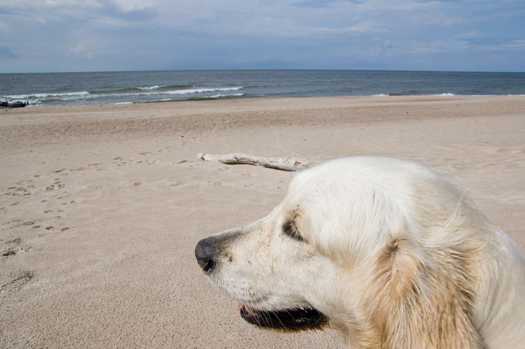 DSC01390.jpg - SONY DSC