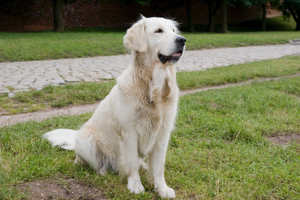 DSC01570.jpg - SONY DSC