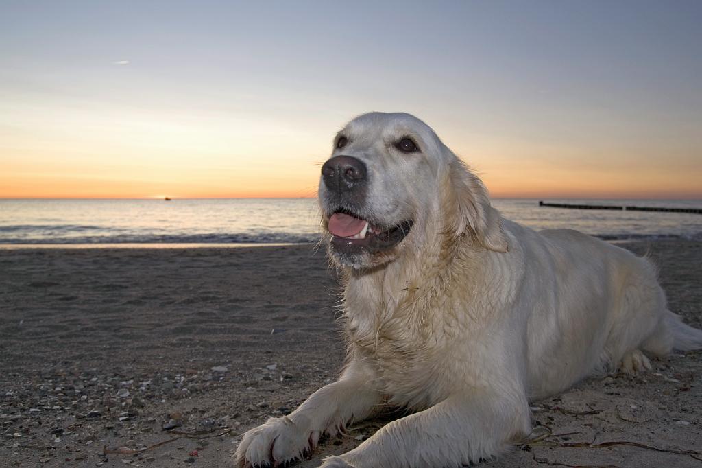 DSC01627.jpg - SONY DSC