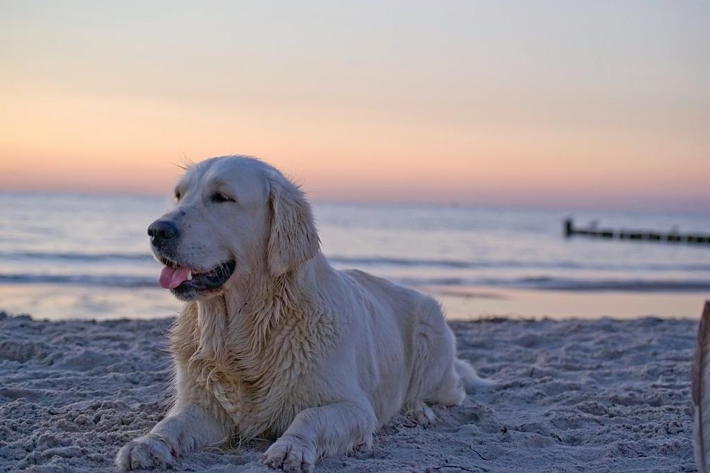 DSC01636.jpg - SONY DSC