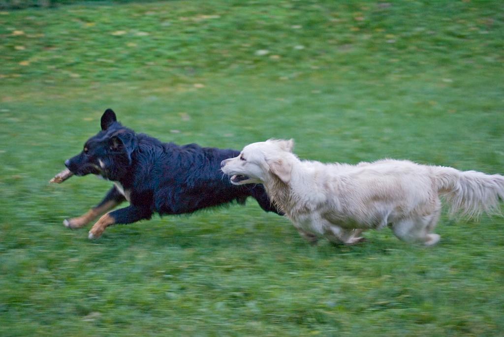 DSC01774.jpg - SONY DSC