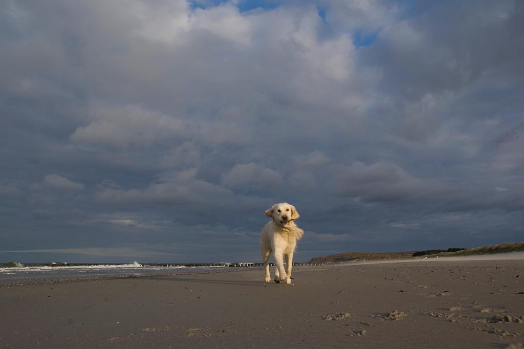 DSC01824.jpg - SONY DSC