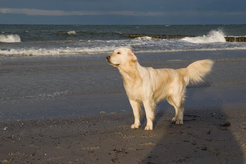 DSC01825.jpg - SONY DSC