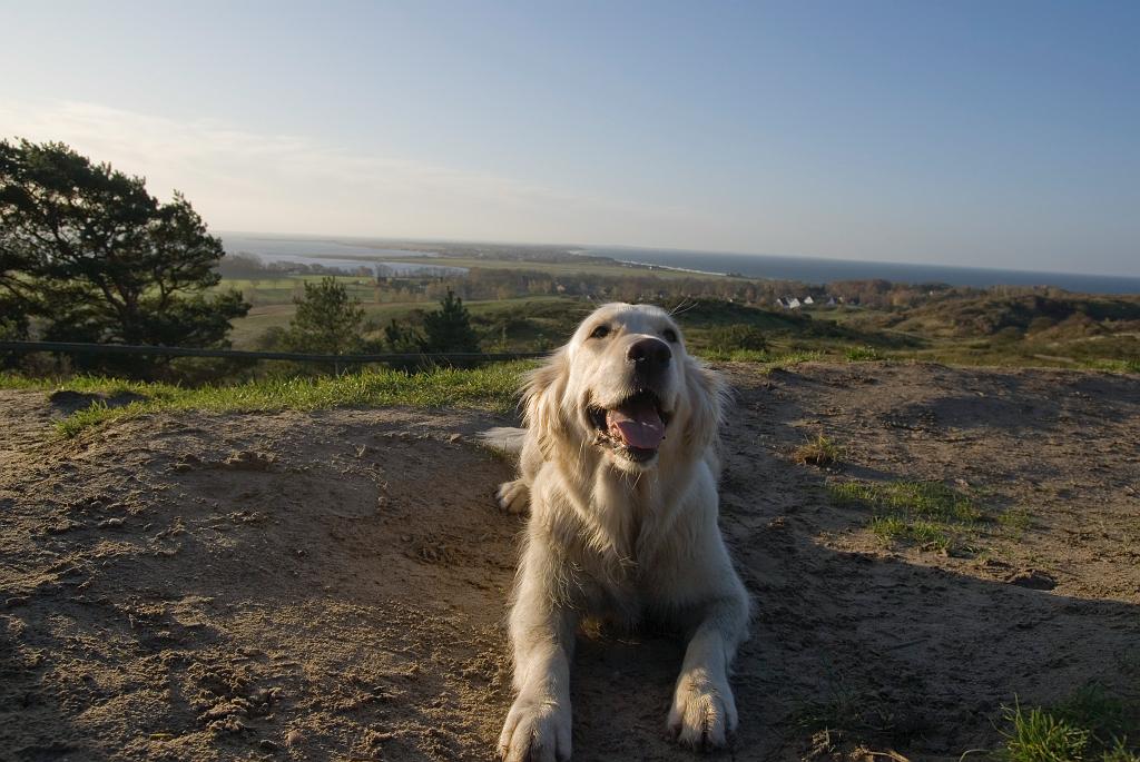 DSC01830.jpg - SONY DSC