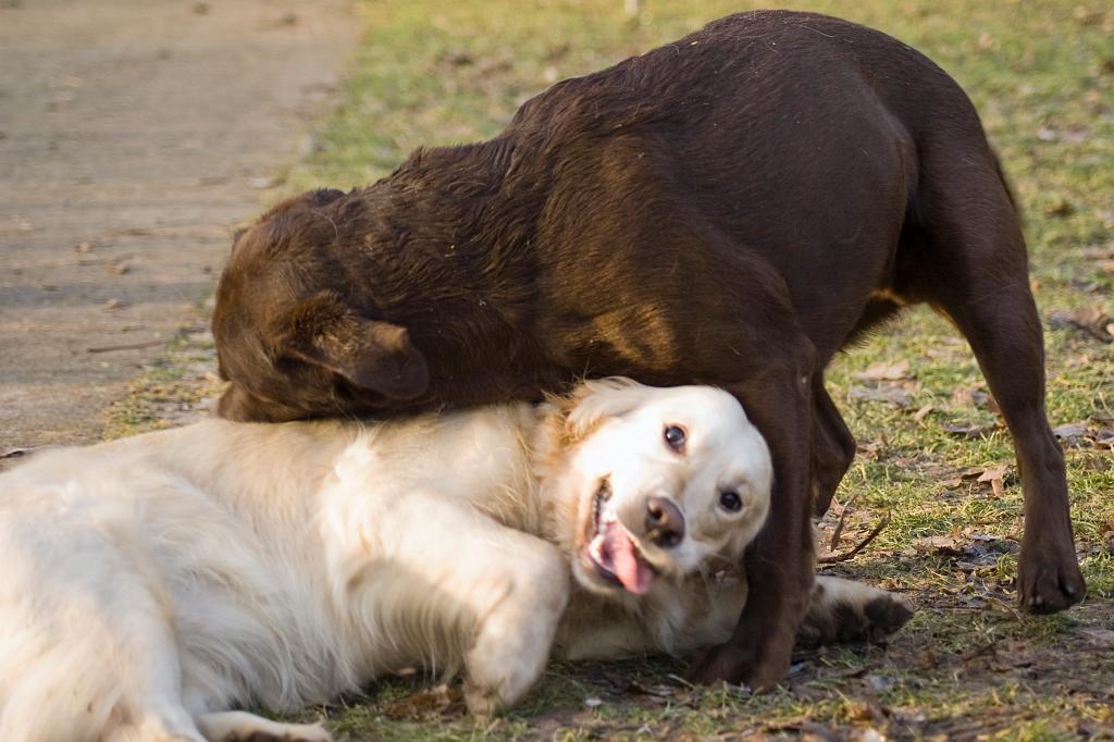 DSC01938.jpg - SONY DSC