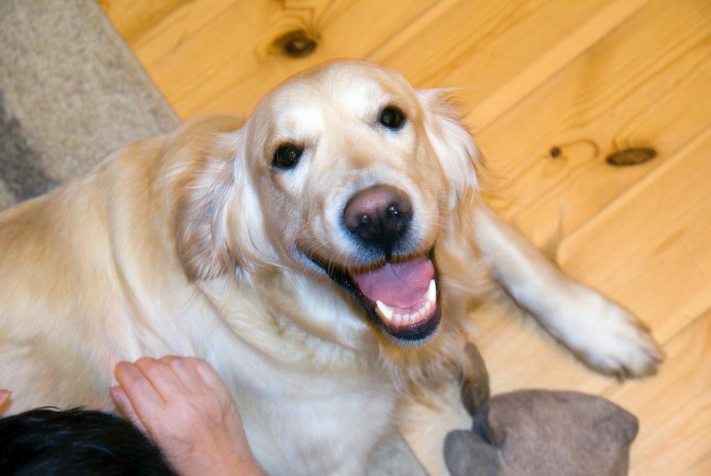 DSC02245.jpg - SONY DSC