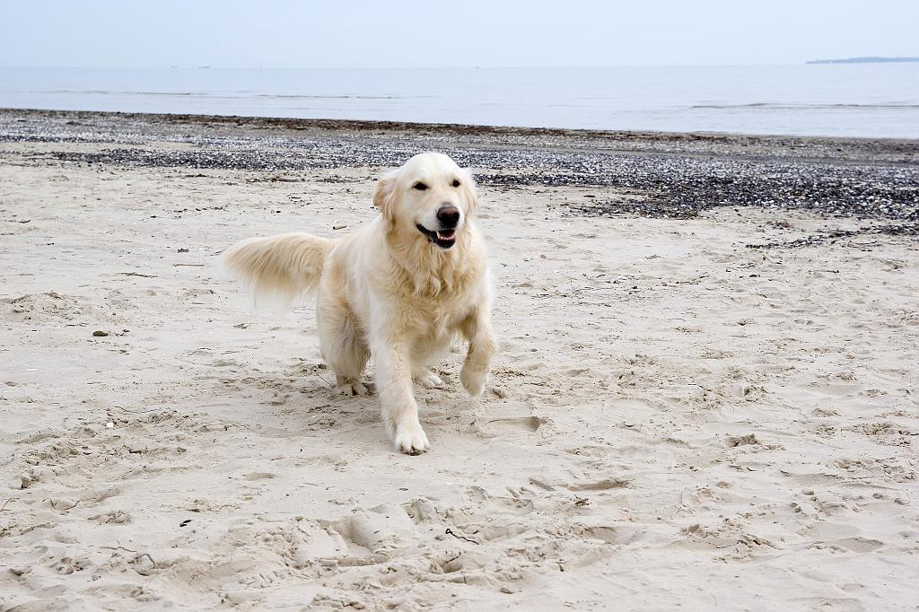 DSC02272.jpg - SONY DSC