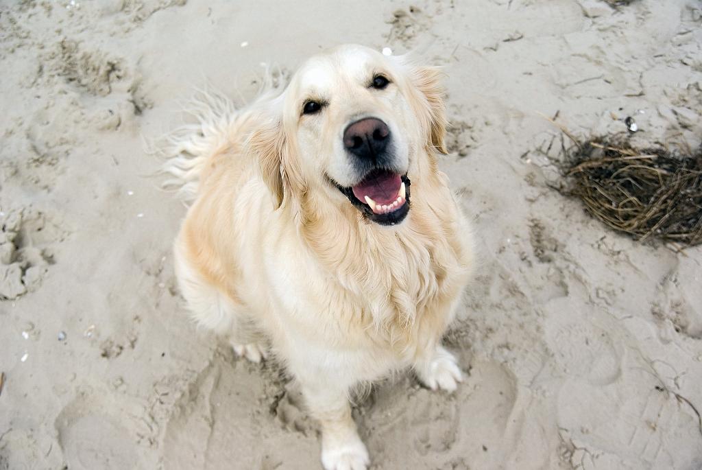 DSC02275.jpg - SONY DSC