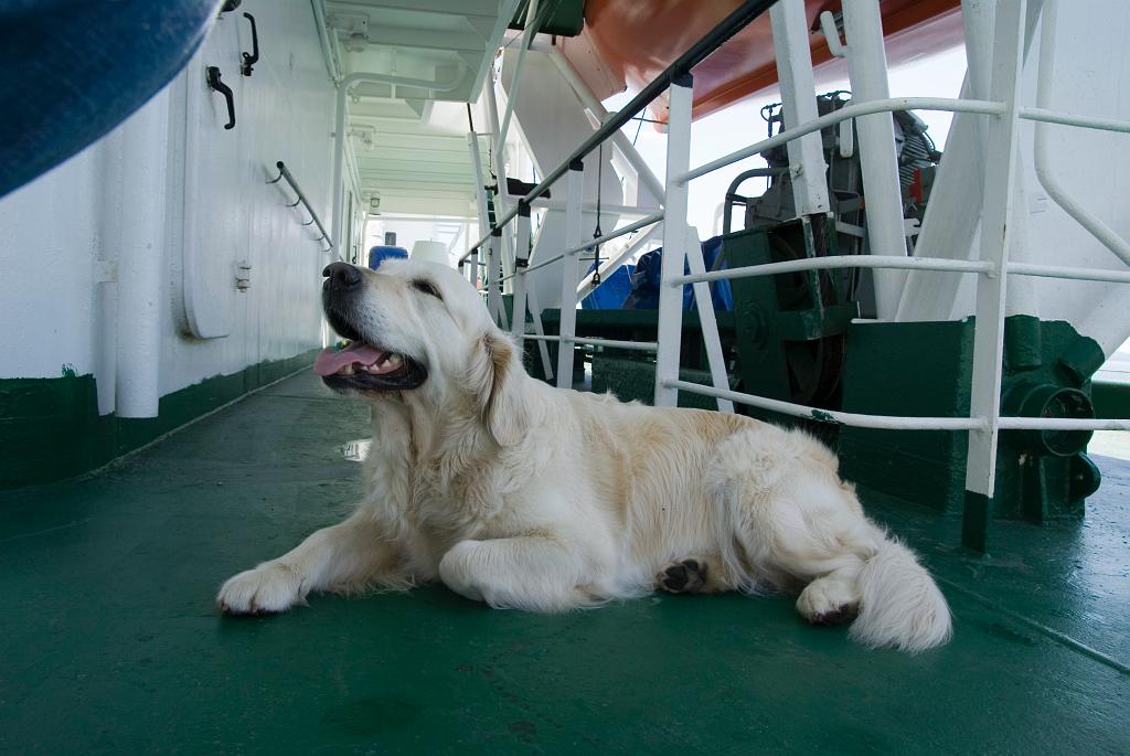 DSC02295.jpg - SONY DSC