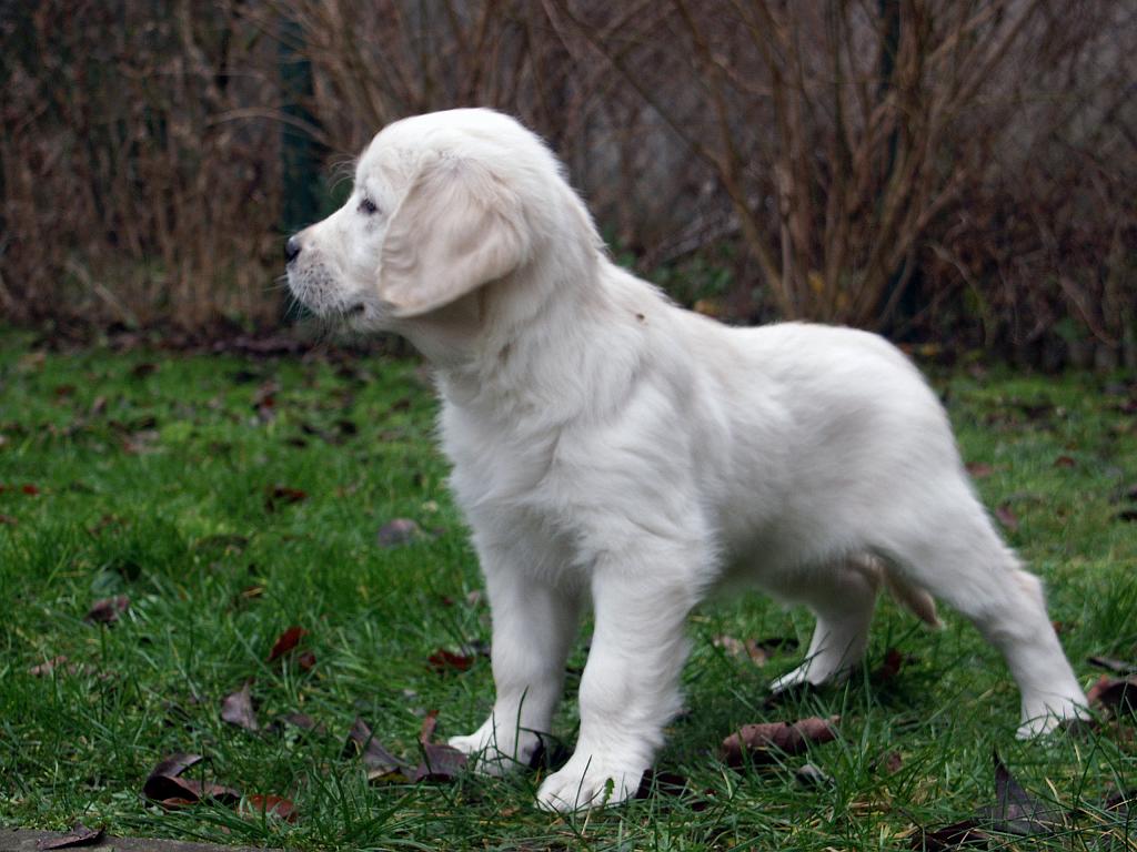 PICT4110.jpg - DCF 1.0