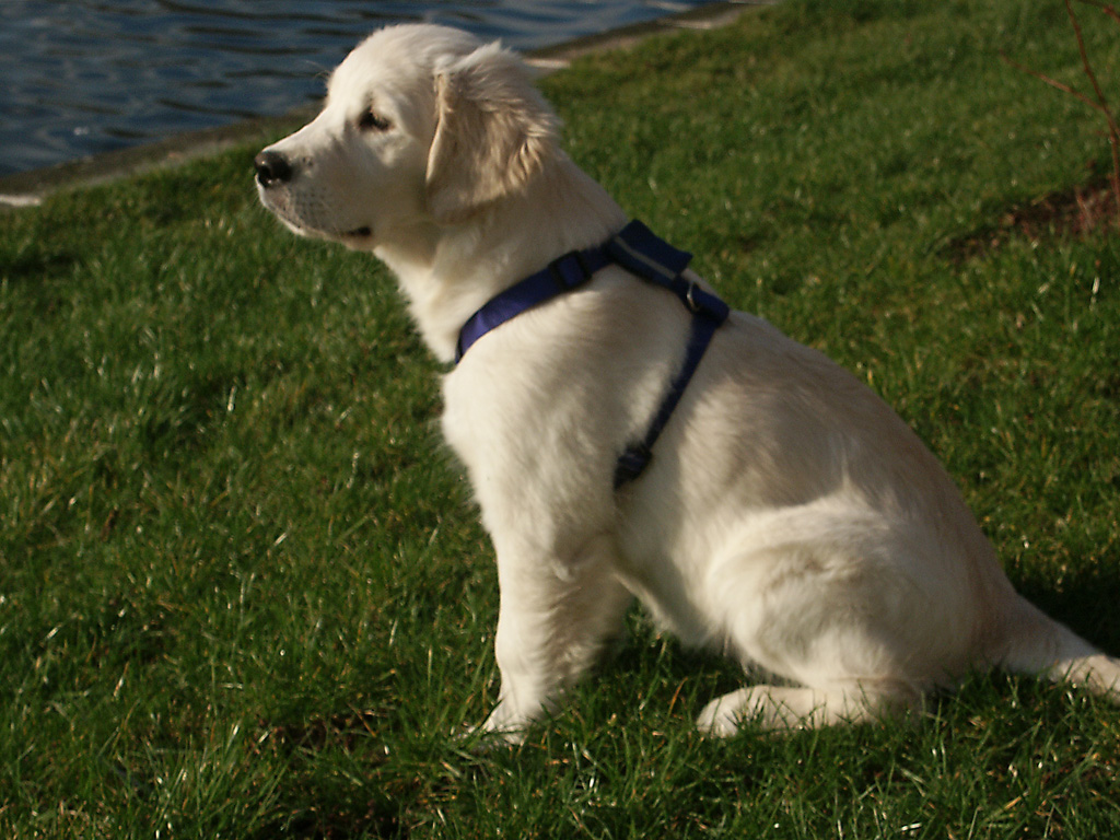 PICT4138.jpg - DCF 1.0