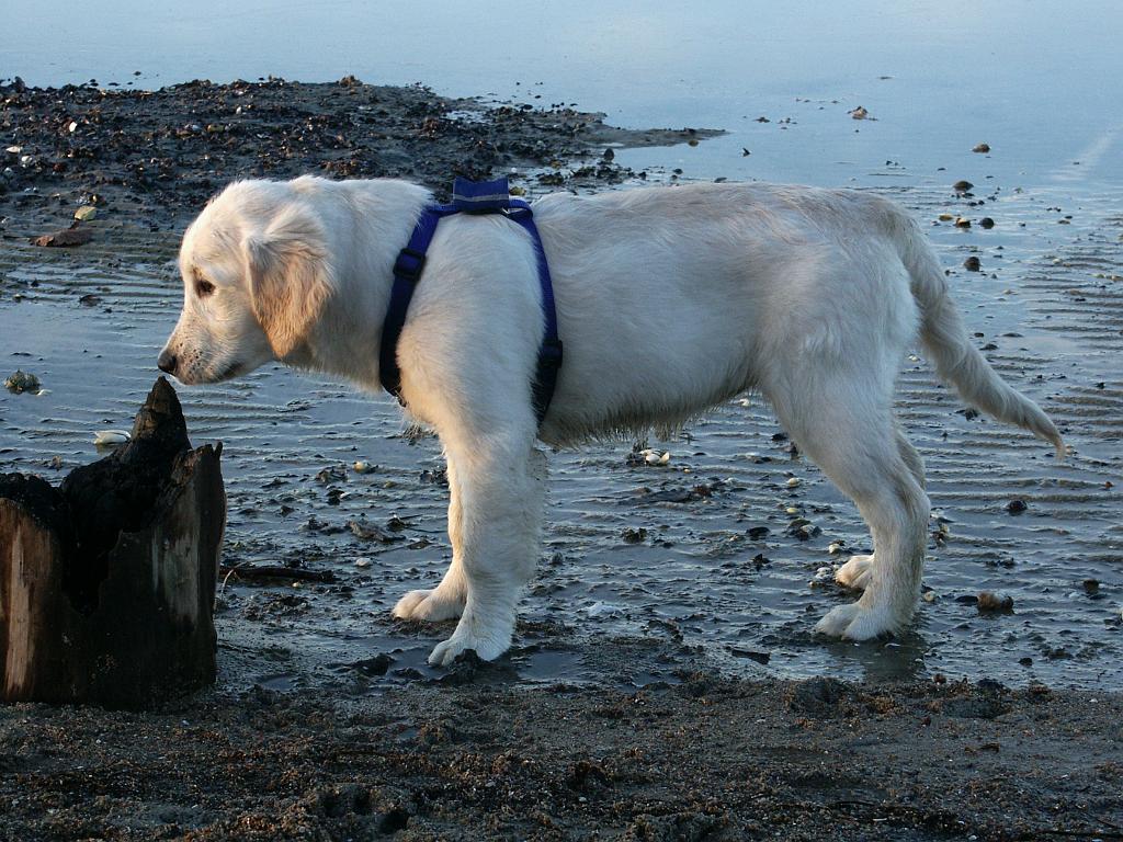 PICT4159.jpg - DCF 1.0