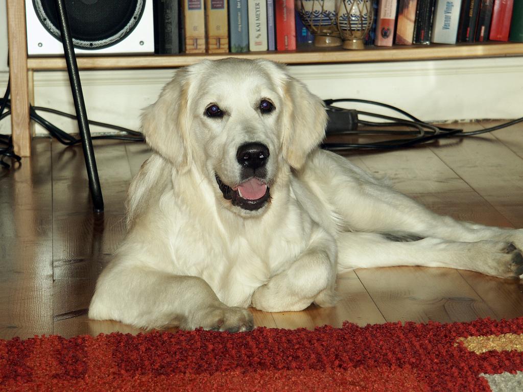 PICT4210.jpg - DCF 1.0