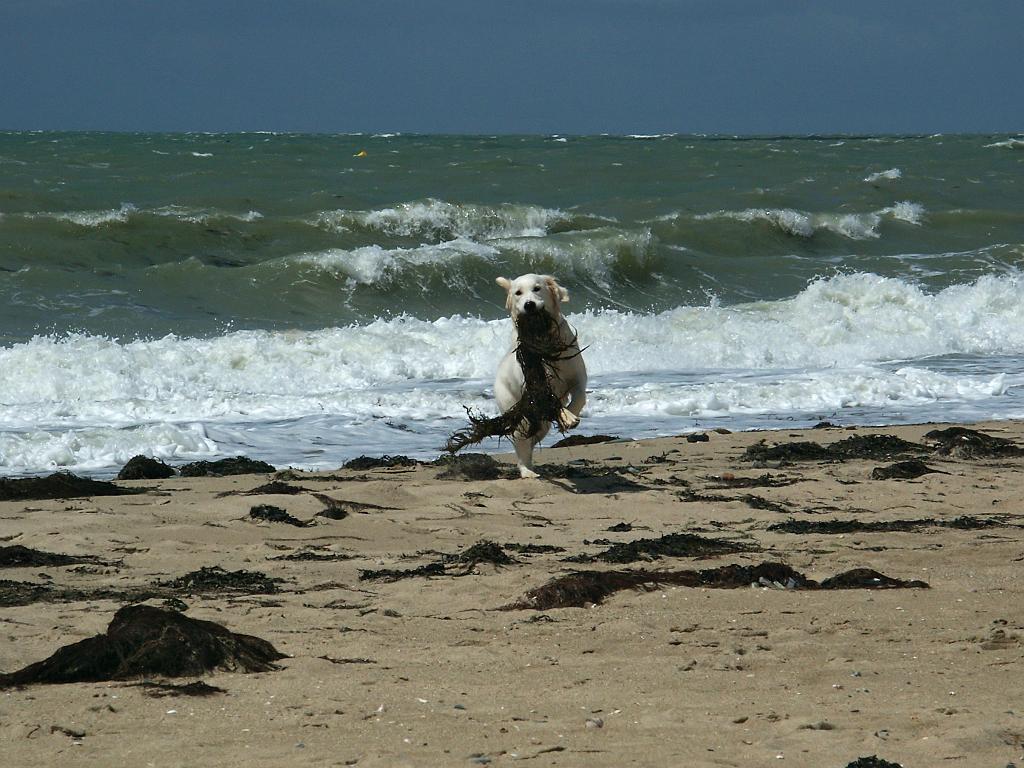 PICT4287.JPG - DCF 1.0