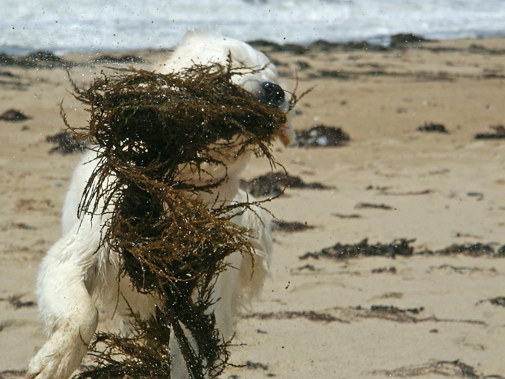 PICT4288.JPG - DCF 1.0