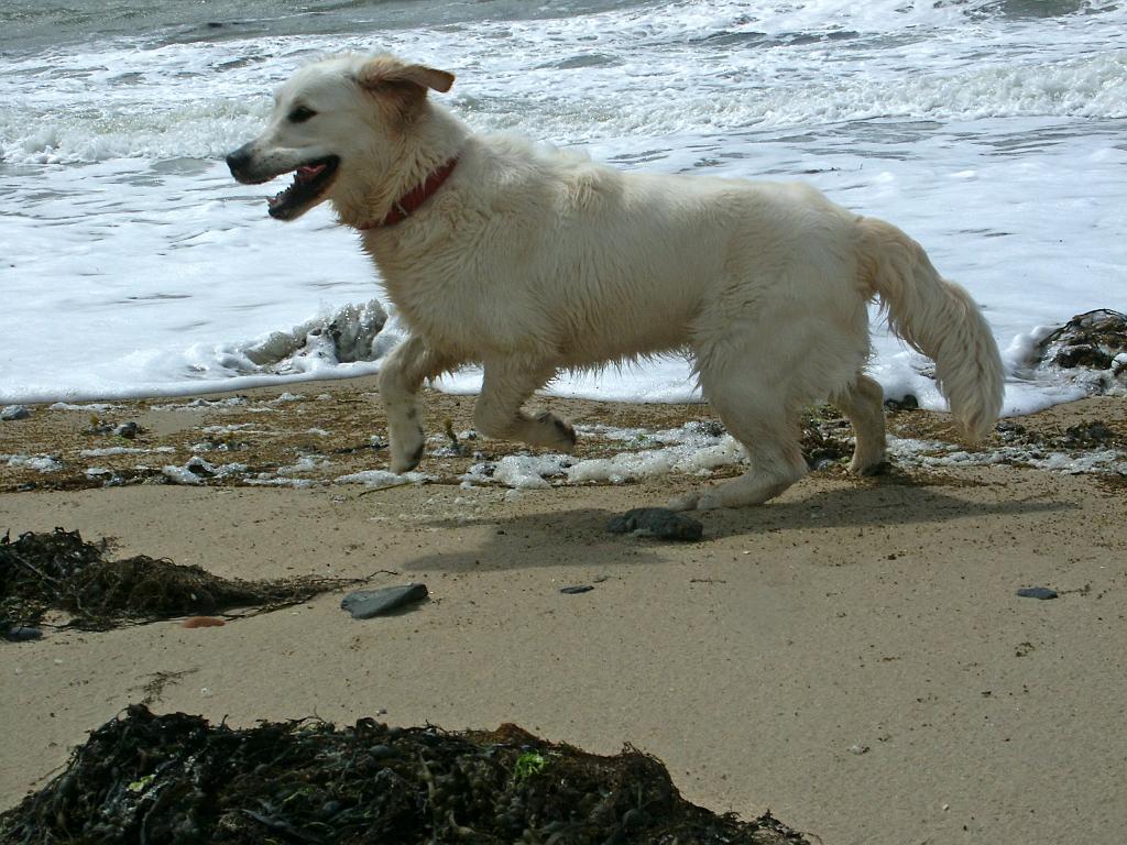 PICT4295.JPG - DCF 1.0