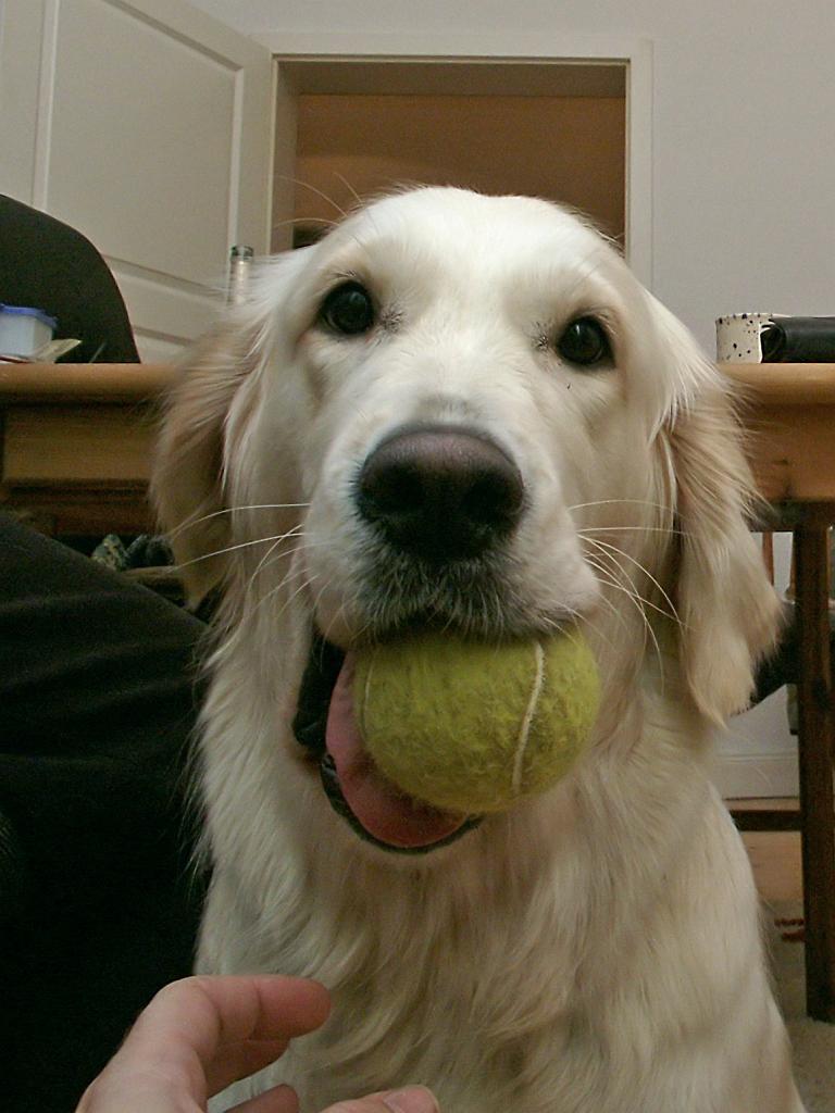 PICT4314.JPG - DCF 1.0